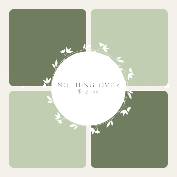 CLEARANCE - NOTHING OVER $12