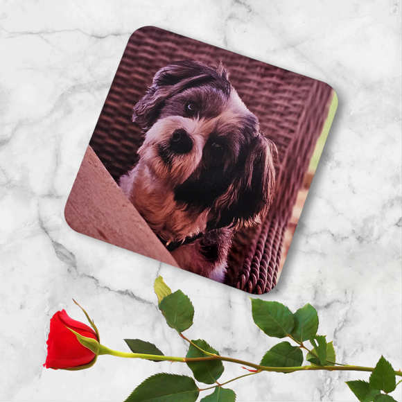 2pk Custom Photo Cork Coasters