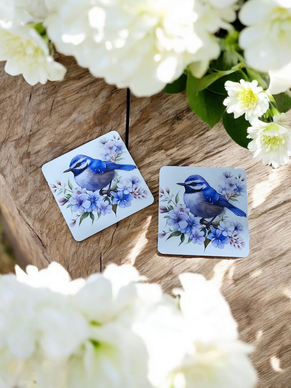 Blue Wren