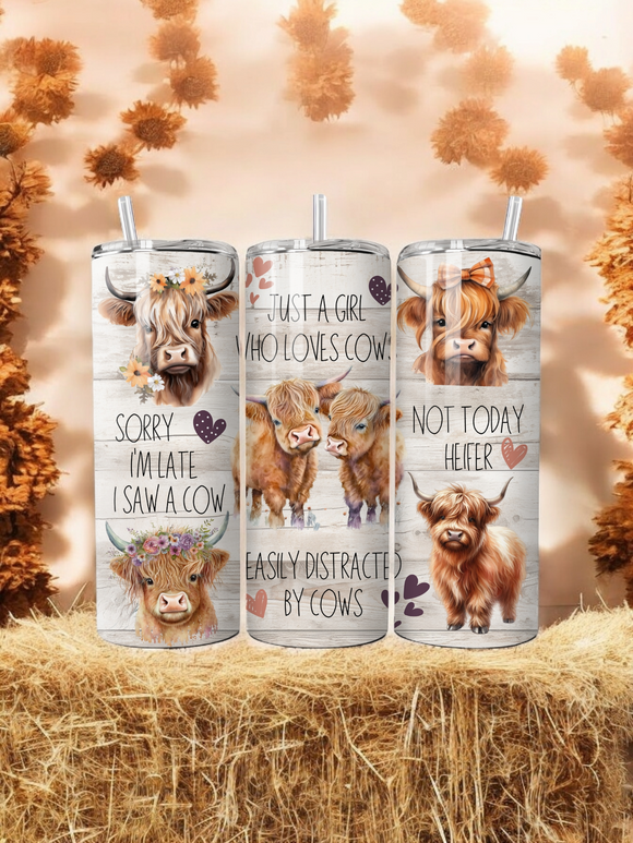 20oz Tumblers - 