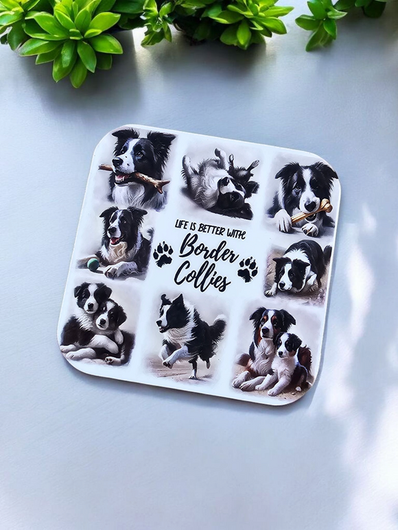 Life is better with a Border Collie