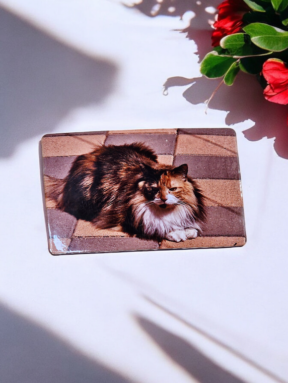 Custom Fridge Magnet