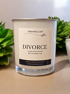 Divorce - I was married once, But now I'm better